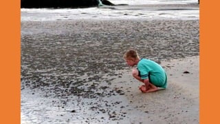 Goa Outing to Palolem Beach