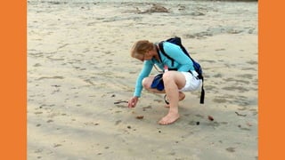 Goa Outing to Palolem Beach