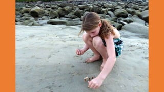 Goa Outing to Palolem Beach