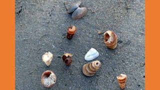 Goa Outing to Palolem Beach