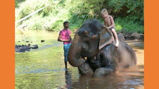 Goa Outing to Spice Farm