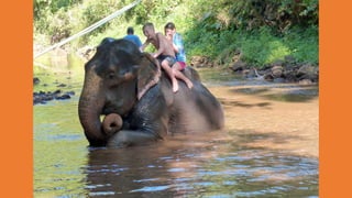Goa Outing to Spice Farm