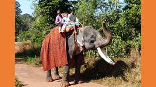 Goa Outing to Spice Farm
