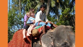 Goa Outing to Spice Farm