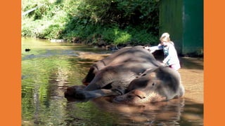 Goa Outing to Spice Farm