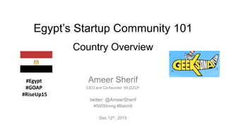 Egypt’s Startup Community 101
Country Overview
Ameer Sherif
CEO and Co-founder, WUZZUF
twitter: @AmeerSherif
#500Strong #Batch8
Dec 12th, 2015
#Egypt
#GOAP
#RiseUp15
 