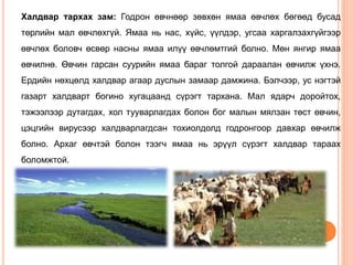 Goat | PPT