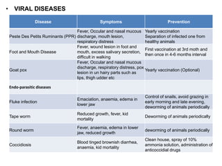 • VIRAL DISEASES
Disease Symptoms Prevention
Peste Des Petits Ruminants (PPR)
Fever, Occular and nasal mucous
discharge, mouth lesion,
respiratory distress
Yearly vaccination
Separation of infected one from
healthy animals
Foot and Mouth Disease
Fever, wound lesion in foot and
mouth, excess salivary secretion,
difficult in walking
First vaccination at 3rd moth and
then once in 4-6 months interval
Goat pox
Fever, Occular and nasal mucous
discharge, respiratory distress, pox
lesion in un hairy parts such as
lips, thigh udder etc
Yearly vaccination (Optional)
Endo-parasitic diseases
Fluke infection
Emaciation, anaemia, edema in
lower jaw
Control of snails, avoid grazing in
early morning and late evening,
deworming of animals periodically
Tape worm
Reduced growth, fever, kid
mortality
Deworming of animals periodically
Round worm
Fever, anaemia, edema in lower
jaw, reduced growth
deworming of animals periodically
Coccidiosis
Blood tinged brownish diarrhea,
anaemia, kid mortality
Clean house, spray of 10%
ammonia solution, administration of
anticoccidial drugs
 