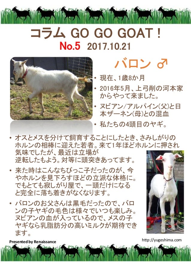 Colum On Goat 17