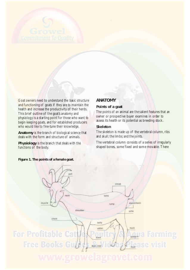 Goat Anatomy & Physiology