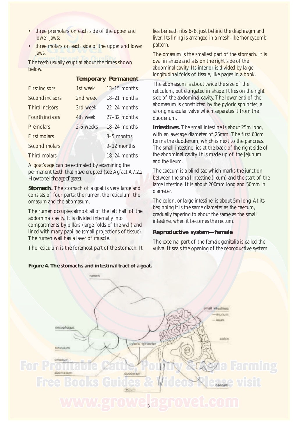 Goat Anatomy & Physiology