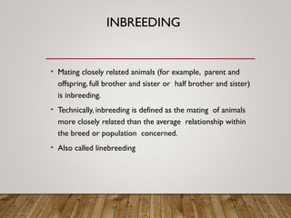 Goat and sheep breeeds and breeeding | PPT
