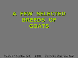 A FEW SELECTED
BREEDS OF
GOATS
__Stephen R Schafer, EdD __ 2008 __University of Nevada-Reno__
 