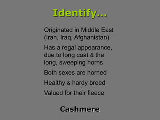 Identify…
Cashmere
Originated in Middle East
(Iran, Iraq, Afghanistan)
Has a regal appearance,
due to long coat & the
long...