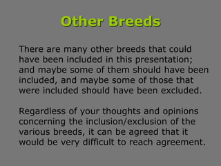 Other Breeds
There are many other breeds that could
have been included in this presentation;
and maybe some of them should...