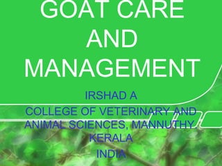 GOAT CARE AND MANAGEMENT,[object Object],IRSHAD A,[object Object],COLLEGE OF VETERINARY AND ANIMAL SCIENCES, MANNUTHY. KERALA,[object Object],INDIA,[object Object]