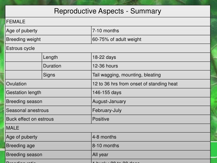 goat care and management irshad goat weight chart