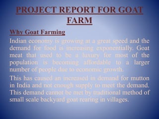 PROJECT REPORT FOR GOAT
FARM
Why Goat Farming
Indian economy is growing at a great speed and the
demand for food is increasing exponentially. Goat
meat that used to be a luxury for most of the
population is becoming affordable to a larger
number of people due to economic growth.
This has caused an increased in demand for mutton
in India and not enough supply to meet the demand.
This demand cannot be met by traditional method of
small scale backyard goat rearing in villages.
 