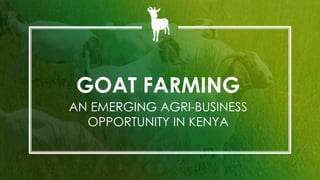 GOAT FARMING
AN EMERGING AGRI-BUSINESS
OPPORTUNITY IN KENYA
 