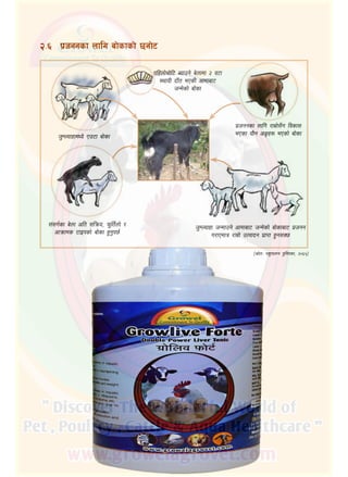 @=^	 k|hggsf nflu af]sfsf] 5gf]6
klxnf]rf]l6 Aofpg] a]nfdf @ j6f
:yfoL bfFt ePsL cfdfaf6
hGd]sf] af]sf
h'DNofxfdWo] Pp6f af]sf
k|hggsf nflu /fd|f];Fu ljsf;
ePsf of}g cËx? ePsf] af]sf
;+;u{sf a]nf clt ;lqmo, km'lt{nf] /
cfqmfds 6fOksf] af]sf x'g'k5{
h'DNofxf hGdfpg] cfdfaf6 hGd]sf] af]sfaf6 k|hgg
u/fPdfq /fd|f] pTkfbg k|fKt x'g;S5
‑;|f]tM kz'kfng k'l:tsf, @)^%_
 