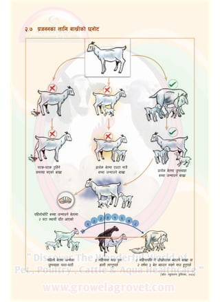 @=&	 k|hggsf nflu afv|Lsf] 5gf]6
k6s–k6s t'lxg]
;d:of ePsf] afv|f
k|To]s a]tdf Pp6f dfq}
aRrf hGdfpg] afv|f k|To]s a]tdf h'DNofxf
aRrf hGdfpg] afv|f
klxnf]rf]l6 aRrf hGdfpg] a]nfdf
@ j6f :yfoL bfFt cfPsf]
klxnf] a]tdf hGd]sf
h'DNofxf kf7f–kf7L
# dlxgfdf dfp k'gM
afnL nfUg'k5{
* dlxgfkl5 g} bf];|f]k6s Aofpg] afv|f jf
@ jif{df # a]t Aofpg ;Sg] dfp x'g'k5{
‑;|f]tM kz'kfng k'l:tsf, @)^%_
!
@
# $ % ^
&
*
 