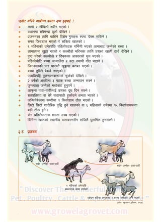 1
5gf]6 ul/g] afv|Ldf s:tf u'0f x'g'k5{ <
nfdf] / vFlbnf] z/L/ ePsf] .
jyfgdf ;a}eGbf 7"nf] b]lvg] .
k|hggsf nflu rflxg] ljz]if u'0fx? :ki6 b]Vg ;lsg] .
;kmf lhp8fn ePsf] / ;lqmo vfnsf] .
( dlxgfsf] pd]/kl5 klxnf]k6s ule{0fL ePsf] cfdfaf6 hGd]sf] aRrf .
nfdfnfdf v'§f ePsf] / sNrf}+8f] el/gsf nflu k|z:t vfnL 7fpF b]lvg] .
k'i6 k/]sf] sNrf}+8f] / l7Sssf cfsf/sf] y'g ePsf] .
klxnf]rf]l6 aRrf hGdfpFbf @ j6f :yfoL bfFt ePsf] .
lhp8fnsf] ef/ rf/j6} v'§fdf a/fa/ ePsf] .
aRrf t'lxg] /]s8{ gePsf] .
k5fl8kl§ t'ngfTds?kn] km's]sf] b]lvg] .
@ jif{sf] cjlwdf # k6s aRrf hGdfpg ;Sg] .
h'DNofxf hGd]sf] dWo]af6 x'g'kg]{ .
cfkmgf kf7f–kf7LnfO{ k|z:t b"w lbg ;Sg] .
ztk|ltzt jf w]/} kf7fkf7L x'sf{pg] Ifdtf ePsf] .
hlGdg]a]nfdf sDtLdf @ lsnf]u|fd tf}n ePsf] .
l56f] l56f] zf/Ll/s j[l4 x'g] vfnsf] jf ^ dlxgfsf] pd]/df !% lsnf]u|fdeGbf
a9L tf}n x'g] .
/f]u k|lt/f]wfTds Ifdtf pRr ePsf] .
ljleGg vfnsf] :yfgLo jftfj/0f;Fu ;lhn} 3'nldn x'g;Sg] .
á
á
á
á
á
á
á
á
á
á
á
á
á
á
á
á
á
á
á
@=*	 k|hgg
ev{/ hGd]sf kf7f–kf7L
ev{/ hGd]sf kf7f–kf7L
( dlxgfsf] pd]/kl5
k|ydk6s af]sf nfu]sf]
Psbd alnof tGb'?:t / :j:y aRrfsf] hGd ePsf]
‑;|f]tM kz'kfng k'l:tsf, @)^%_
 