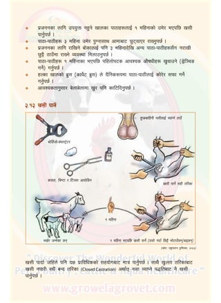 13
k|hggsf nflu pko'Qm gx'g] vfnsf kf7fx?nfO{ ! dlxgfsf] pd]/ ePkl5 v;L
kfg'{k5{ .
kf7f–kf7Lx? # dlxgf pd]/ k'Ugf;fy cfdfaf6 5'6ofP/ /fVg'k5{ .
k|hggsf nflu /flvg] af]sfnfO{ klg # dlxgfb]lv cGo kf7f–kf7Lx?;Fu g/fvL
5'§} 7fpFdf /fVg] Joj:yf ldnfpg'k5{ .
kf7f–kf7Lx? ! dlxgfsf ePkl5 klxnf]k6s cfjZos cf}ifwLx? v'jfpg] ‑8«]l~rª
ug]{_ ug'{k5{ .
xNsf vfnsf] a|'; ‑sfk]{6 a|';_ n] b}lgs?kdf kf7f–kf7LnfO{ sf]/]/ ;kmf ug]{
ug'{k5{ .
cfjZostfg';f/ a]nfa]nfdf v'/ klg sfl6lbg'k5{ .
á
á
á
á
á
á
@=!@	v;L kfg]{
skf;, lrD6f / l6~r/ cfof]l8g
v;L kfg]{ ;xL tl/sf
ev{/ hGd]sf 5g ! dlxgf ePkl5 v;L kfg]{ ‑o;f] ubf{ l5§} df]6fpF5g÷a95g_
! dlxgf
‑;|f]tM kz'kfng k'l:tsf, @)^%_
af]l8{hf]–Sof:6]«6/
z'qmaflxgL gnLnfO{ RofKg] 7fpF
v;L kfbf{ hlxn] klg bIf k|fljlwssf] ;xof]uaf6 dfq kfg{'{k5{ . ;fy} v'Nnf tl/sfaf6
v;L gkf/L ;w}+ aGb tl/sf (Closed Castration) cyf{t g;f RofKg] k4ltaf6 g} v;L
kfg'{k5{ .
 