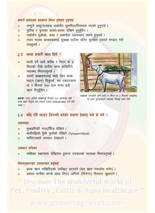 2
o;/L agfPsf Ansdf lgDg u'0fx? x'g'k5{
;Dk"0f{ j:t'÷tTjx? /fd|f];Fu 3'nldn÷ld;df; ePsf] x'g'k5{ .
o'l/of / r'gfsf 8Nnf–8Nnf b]lvg] x'g'x'Fb}g .
/fd|f];Fu ;'s]sf], s8f / ;dfpFbf RofkRofk nfUg] x'g'k5{ .
tof/ ePsf Ansx?nfO{ ;'Vvf 7fpFdf 5f]k]/ ;'/lIft tj/n] e08f/ u/L
/fVg'k5{ .
#=*	 Ans s;/L vfg lbg] <
5fofF kg]{ 7fpF sl/a ! ld6/ jf #
lkm6sf] pFrf] 7fpFdf Ans /flvlbg]
Joj:yf ldnfpg'k5{ .
o;/L afv|fx?nfO{ s]xL l5g Ans
rf6g ‑vfg_ lbg'k5{, t/ Psk6sdf
jf ! lbgdf !%) u|fd eGbf a9L
vfg lbg'x'Fb}g .
b|i6JoM Pp6f x's]{sf] afv|fnfO{ lbgsf] !%) u|fdeGbf a9L
Ans vfg lbOof] eg] To;n] g/fd|f] (intoxicate) ug{ klg
;S5 .
#=(	 olb w]/} vfP/ la/fdL k/]sf] nIf0f b]vfP eg] s] ug]{ <
nIf0fx?
d'vjl/kl/ ufh÷lkmFh b]lvg] .
afofFkl§sf] e'F8L k'mn]sf] b]lvg] (Tympani/bloat)
dflQPh:tf] Jojxf/ b]vfpg] .
pkrf/ tl/sf
dflysf nIf0fx? b]lvPdf t'?Gt pkrf/sf] Joj:yf ldnfpg'k5{ .
lgDgfg';f/sf pkrf/x? ug'{k5{
Ans vfg /flvlbPsf] 7fpFaf6 x6fpg] ‑yk vfg gkfcf]; eg]/_ .
k|z:t kfgLdf em08} cfwf ln6/ cldnf] ‑leg]u/_ ld;fP/ v'jfpg] .
á
á
á
á
á
á
á
á
á
á
á
á
afv|fsf] 6fpsf]n] k'Ug] 7fpF ‑! ld6/ jf # lkm6sf] prfOdf_
df Ans e'm08ofpg] Joj:yf ldnfO{ vfg lbg]
 