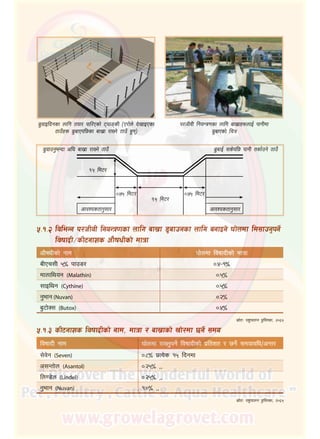27
8'jfOlbgsf nflu tof/ kfl/Psf] 6ofªsL ‑P/f]n] b]vfOPsf
7fpFx? 8'afPkl5sf afv|f /fVg] 7fpF x'g_
k/hLjL lgoGq0fsf nflu afv|fx?nfO{ kfgLdf
8'afPsf] lrq
8'jfpg'eGbf cl3 afv|f /fVg] 7fpF
%=!=@	ljleGg k/hLjL lgoGq0fsf nflu afv|f 8'afpgsf nflu agfOg] 3f]ndf ld;fpg'kg]{
ljiffbL÷sL6gfzs cf}ifwLsf] dfqf
cf}ifwLsf] gfd 3f]ndf ljiffbLsf]] dfqf
aLPr;L %∞ kfp8/ )=$–!∞
dfnflyog (Malathin) )=%∞
;fOlyg (Cythine) )=%∞
g'efg (Nuvan) )=@∞
a'6f]S; (Butox) )=$∞
;|f]tM kz'kfng k'l:tsf, @)^%
%=!=#	sL6gfzs ljiffbLsf] gfd, dfqf / afv|fsf] vf]/df 5g]{ ;do
ljiffbL] gfd 3f]ndf /fVg'kg]{ ljiffbLsf] k|ltzt / 5g]{ ;dofjlw÷cGt/
;]j]g (Seven) )=*∞ k|To]s !% lbgdf
c;Gtf]n (Asantol) )=@%∞ ,,
ln08]n (Lindel) )=@%∞ ,,
g'efg (Nuvan) !=)∞ ,,
;|f]tM kz'kfng k'l:tsf, @)^%
)=&% ld6/ )=&% ld6/
!=% ld6/
!=% ld6/
cfjZostfg';f/ cfjZostfg';f/
8'afO{ ;s]kl5 kfgL tsf{pg] 7fpF
 