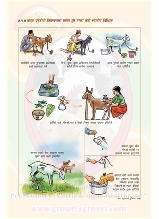 28
%=!=$	jfxo k/hLjL lgoGq0fdf k|of]u x'g] u/]sf s]xL :yfgLo ljlwx?
k/hLjLn] c;/ k'¥ofPsf 7fpFx?sf]
/fd|f] ;/;kmfO ug]{
lsgf{, h'd|f, h"sf cflbh:tf k/hLjLnfO{
xft}n] l6k]/ cfuf]df hnfpg]
c;/ k'u]sf] 7fpFdf g'gsf] afSnf]
3f]n blnlbg]
;"tL{sf] kft, gLdsf] kft / g'gsf] ld>0f agfP/ 3fpdf blnlbg]
gfsdf h"sf k/]df
gLdsf] kftsf] /;
gfssf] Kjfndf r'xfOlbg]r/gdf uPsf] a]nf afv|fsf gfsdf
h"sf k;]/ c;/ k'¥ofpF5
afv|fn] kfgL vfg nfu]sf]
a]nf h"sfx?, gfsaflx/
lg:sFbf xft}n] tfg]/
lgsfNg] jf Pp6f s}++rLsf]
d2tn] sf6]/ 6'qmf kfl/lbg]
;|f]tM kz'kfng k'l:tsf, @)^%
 