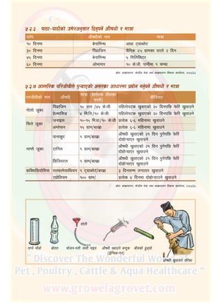 32
%=@=#		 kf7f–kf7Lsf] pd]/cg';f/ lbg'kg]{ cf}ifwL / dfqf
pd]/ cf}ifwLsf] gfd Dffqf
!) lbgdf a]gfldGy cfwf 6ofAn]6
#) lbgdf lkk|flhg b}lgs @=% u|fdsf b/n] @ lbg
$% lbgdf a]gfldGy % ldlnln6/
^) lbgdf cf]efdf/ !) s]=hL= kfgLdf ! rDrf
;|f]tM afv|fkfng, s]Gb|Lo e]8f tyf afv|fkfng ljsf; sfof{no, @)^%÷^^
%=@=$	cfGtl/s kl/hLjLn] k'¥ofPsf] c;/sf cfwf/df k|of]u ug'{kg]{ cf}ifwL / dfqf
k/hLjLsf] gfd cf}ifwL
dfqf ‑zf/L/s tf}nsf
b/n]_
s}lkmot
uf]nf] h"sf
lkk|flhg !) u|fd ÷$% s]=hL= klxnf]k6s v'jfPsf] @) lbgkl5 k]ml/ v'jfpg]
x]Ndfl;8 $ ld=ln=÷!) s]=hL= klxnf]k6s v'jfPsf] @) lbgkl5 k]ml/ v'jfpg]
lkmQ] h"sf
hgfOn !)–!% ld=u|f=÷!) s]=hL= k|To]s ^–^ dlxgfdf v'jfpg]
cDn];g !% u|fd÷afv|f k|To]s ^–^ dlxgfdf v'jfpg]
gfDn] h"sf
kfgfs'/ ! u|fd÷afv|f
cf}ifwL v'jfPsf] @! lbg k'u]kl5 k]ml/
bf]xf]¥ofP/ v'jfpg]
6flgn ! u|fd÷afv|f
cf}ifwL v'jfPsf] @! lbg k'u]kl5 k]ml/
bf]xf]¥ofP/ v'jfpg]
l8lh:6n ! u|fd÷afv|f
cf}ifwL v'jfPsf] @! lbg k'u]kl5 k]ml/
bf]xf]¥ofP/ v'jfpg]
slS;l8of]l;; ;Nkmfd];flyog ! 6ofAn]6÷afv|f # lbg;Dd nuftf/ v'jfpg]
Pk|f]lnod !)) u|fd÷ k|To]s $ lbgdf bf]xf]¥ofpg] v'jfpg]
;|f]tM afv|fkfng, s]Gb|Lo e]8f tyf afv|fkfng ljsf; sfof{no, @)^%÷^^
afF;sf] 9'ªu|f]af]tngfKg] efF8f] ef]hg–gnL h:t} kfOk cf}ifwL Vjfpg] aGb"s
‑8]«lGrª–ug_
cf}ifwL v'jfpg] tl/sf
;f]nL
 
