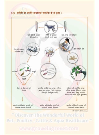 39
5]/f}6L jf cfpFaf6
lj/fdL ePsf] afv|f
Hj/f] b]lvof], tfkqmd
w]/} a9]sf] 5
Hj/f] gfKbf Hj/f] b]lvPg
/f]ux?n] cfqmd0f
ul/;s]sf 5g
kLkLcf/
nx'd't]
Eofu't]
lb;f k/LIf0f ug]{
ljiff0f' / hLjf0f'af6 x'g]
/f]ux?
:yfgLo k|fljlws;Fu k/fdz{ u/L
pkrf/sf] Joj:yf ldnfpg]
cfGtl/s k/hLjL tyf c08f, z/L/sf
6'qmfx? kQf nfU5g ‑h:t}M gfDn]h"sf,
uf]nf]h"sf, lkmQ]h"sf cflb_
k/LIf0f ubf{ k/hLjLsf c08f,
z/L/sf efux? b]lvPgg, zfob
vfgfsf] sdL, ljiffn' 3fF;kft
cflbaf6 klg o:tf] ePsf] x'g;S5 .
:yfgLo k|fljlws;Fu k/fdz{ u/L
pkrf/sf] Joj:yf ldnfpg]
:yfgLo k|fljlws;Fu k/fdz{ u/L
pkrf/sf] Joj:yf ldnfpg]
;|f]t kz'kfng k'l:tsf, @)^% .
^=&	 5]/f}6L jf cfpFn] afv|fnfO{ ;tfpFbf s] s] x'G5 <
 