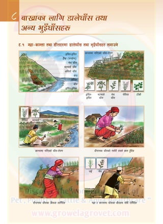 43
* afv|fsf nflu 8fn]3fF; tyf
cGo e'OF3fF;x?
*=!	 ux|f–sfGnf tyf 8Lnx?df 8fn]3fF; tyf e'OF3fF;x? nufpg]
Olkn–Olkn
9}+rf ‑;gx]Dk_
e]r 3fF;
e6df;] 3fF;
cld|;f] 3fF;
s]/f
g]lko/
afF;
Olkn–Olkn
sfGnfdf ul/Psf] 3fF;–/f]k0f
Olkn–
Olkn
6fFsLe]r
3fF;
e6df;]
3fF;
g]lko/
sfGnfdf ul/Psf] 3fF;–/f]k0f bLgfgfy 3fF;sf] g;{/L /fVg] sfd x'Fb}5
g]lko/ e6df;]
ux|f / sfGnfdf 3fF;sf aLpx? ;Lw}+ /f]lkFb}5bLgfgfy 3fF;sf la?jf ;fl/Fb}5
hO{ e]r
 