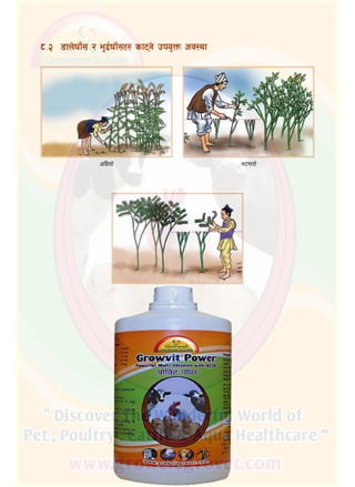 44
*=@	 8fn]3fF; / e'O{3fF;x? sf6g] pko'Qm cj:yf
cld|;f] e6df;]
Olkn–Olkn‑‑‑
 