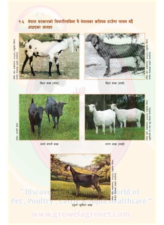 la§n afv|f ‑af]sf_ la§n afv|f ‑afv|L_
!=^	 g]kfn ;/sf/sf] l;kmfl/;lagf g} g]kfnsf sltko 7fpFdf kfng ub}{
cfOPsf hftx?
tl:a/;|f]tMafv|fkfng,@)^%÷^^‑kz';]jfljefu,
s]Gb|Loe]8fafv|fk|j4{gsfof{no_
tl:a/;|f]tMafv|fkfng,@)^%÷^^‑kz';]jfljefu,
s]Gb|Loe]8fafv|fk|j4{gsfof{no_
sfnf] a+ufnL afv|f ;fgg afv|f ‑afv|L_
tl:a/M/fddl0fkf}8]n
tl:a/;|f]tMafv|fkfng,@)^%÷^^‑kz';]jfljefu,
sa'lnotLjgtyfkz'ljsf;sfo{qmd_
PËnf] Go"laog afv|f
tl:a/;|f]tMafv|fkfng,@)^%÷^^‑kz';]jfljefu,
s]Gb|Loe]8fafv|fk|j4{gsfof{no_
 