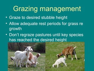 Grazing management
• Graze to desired stubble height
• Allow adequate rest periods for grass re
growth
• Don’t regraze pastures until key species
has reached the desired height
 