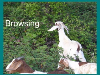 Browsing
 