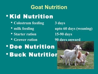 Goat feeding powerpoint pks | PPT