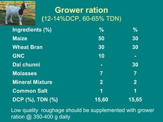 Grower ration
(12-14%DCP, 60-65% TDN)
Ingredients (%) % %
Maize 50 30
Wheat Bran 30 30
GNC 10 -
Dal chunni - 30
Molasses 7 7
Mineral Mixture 2 2
Common Salt 1 1
DCP (%), TDN (%) 15,60 15,65
Low quality roughage should be supplemented with grower
ration @ 350-400 g daily
 