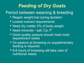 Feeding of Dry Goats
Period between weaning & breeding
 Regain weight lost during lactation
 Lowest nutrient requirements
 Need dry matter 2% of body weight
 Need minerals - salt, Ca, P
 Good quality pasture should meet most
requirement needs
 On pasture pt browsing no supplementary
feeding is required
 6-8 hours of browsing will take care of
nutritional needs
 