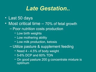 Late Gestation..
• Last 50 days
• Most critical time – 70% of fetal growth
– Poor nutrition costs production
• Low birth weights
• Low mothering ability
• Low milk production, ketosis
– Utilize pasture & supplement feeding
• Need 4 - 4.5% of body weight
• 5-6% DCP and 60% TDN
• On good pasture 200 g concentrate mixture is
optimum
 