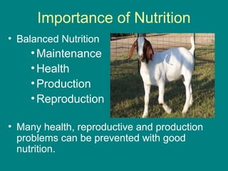 Importance of Nutrition
• Balanced Nutrition
•Maintenance
•Health
•Production
•Reproduction
• Many health, reproductive and production
problems can be prevented with good
nutrition.
 