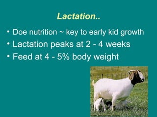 Lactation..
• Doe nutrition ~ key to early kid growth
• Lactation peaks at 2 - 4 weeks
• Feed at 4 - 5% body weight
 