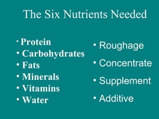 The Six Nutrients Needed
• Protein
• Carbohydrates
• Fats
• Minerals
• Vitamins
• Water
• Roughage
• Concentrate
• Supplement
• Additive
 