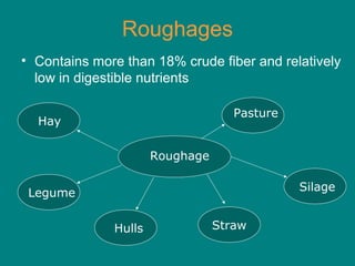 Roughages
• Contains more than 18% crude fiber and relatively
low in digestible nutrients
Hulls Straw
Silage
Roughage
Hay
Legume
Pasture
 