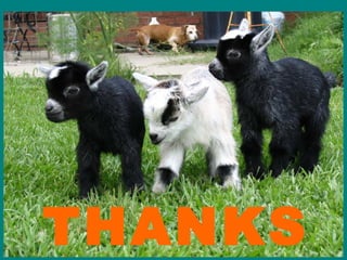 THANKS
 