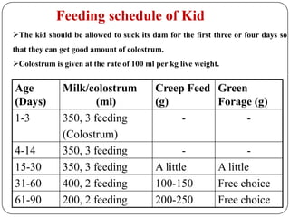Goat and sheep feeding Dr. pankaj | PDF