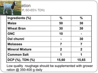 Goat and sheep feeding Dr. pankaj | PDF