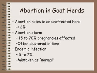 Goat Health Around Kidding Time | PPT