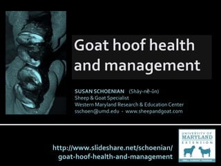 SUSAN SCHOENIAN (Shāy-nē-ŭn)
      Sheep & Goat Specialist
      Western Maryland Research & Education Center
      sschoen@umd.edu - www.sheepandgoat.com




http://www.slideshare.net/schoenian/
  goat-hoof-health-and-management
 